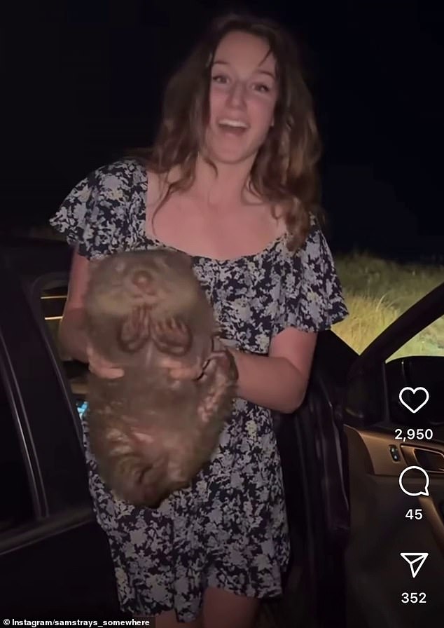 US tourist’s appalling act sparks calls for her to be deported from Australia: ‘This is heinous’
