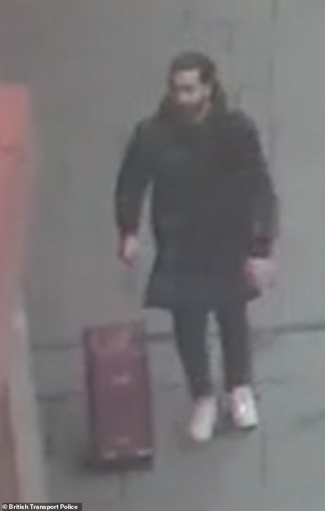 Prolific thief who targeted Jenson Button’s wife and stole her suitcase containing £250,000 of lavish goods is jailed